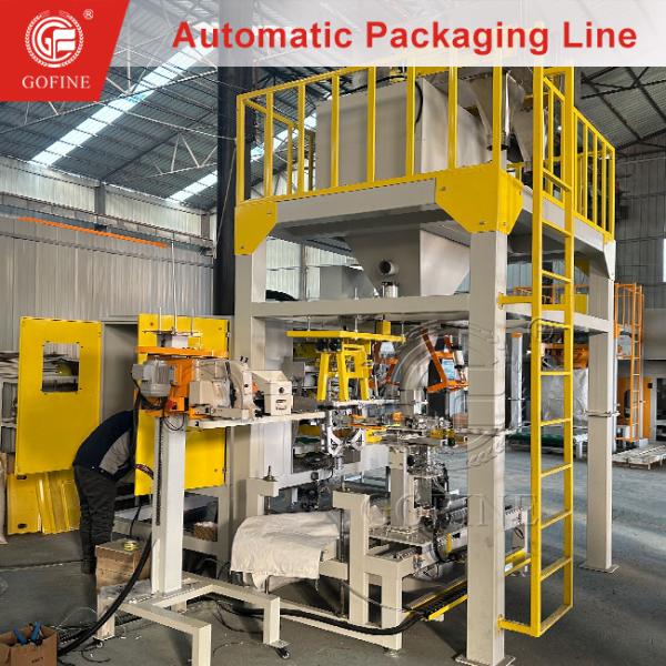 High Precision 7.5kW DAP SSP Big Bag Pouch Packaging Machine Solution