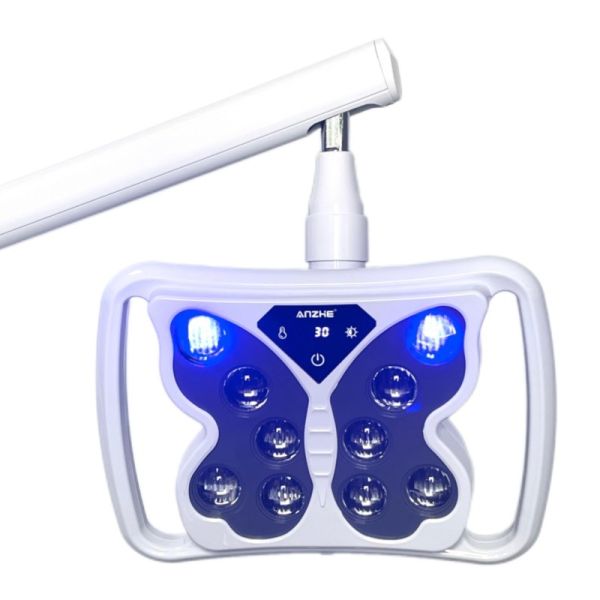 2 in 1 Function Dental Chair LED Operation Light Blue Light Teeth Whitening Function Mouth Lamp Dental Surgery Light