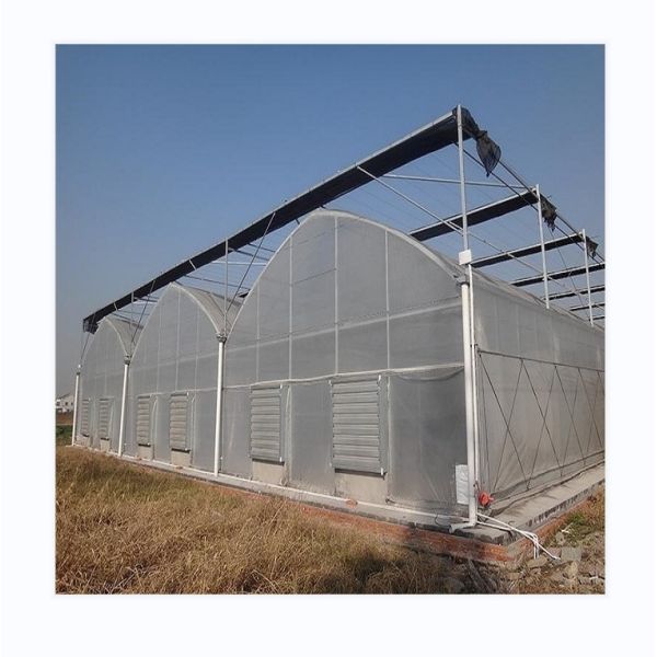 Easy Assembled Tomato Agricultural Kit Frame Greenhouse With Super Strong Resistance