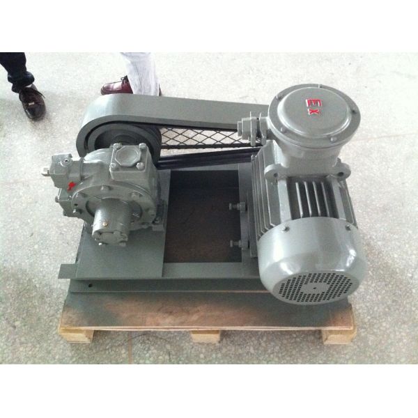Gas Station Use Hand Held Vacuum Pump LPGP-2000 With Innovative Cam Design