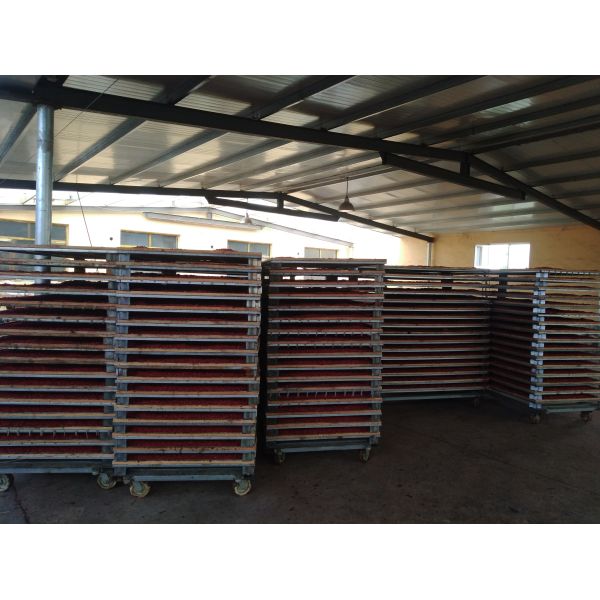Amorberry Goji Berry/Wolfberry/Lycium Barbarum organic medlar wholesale from Ningxia factory