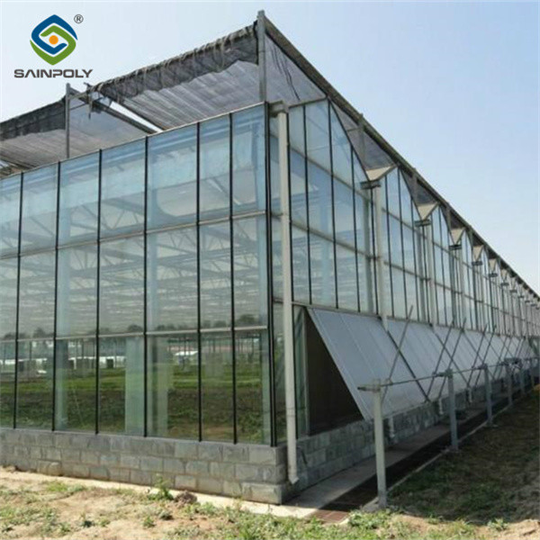 Custom Dutch Venlo Greenhouse Modern Farms Greenhouse With Intelligent Control System
