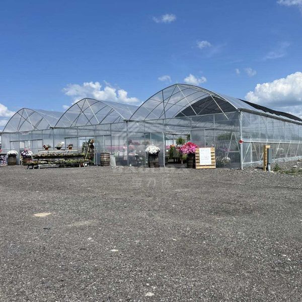 Greenhouse Frame Structure 200 micro PE Film Ventilated Serre Agricole Hoop House Greenhouse