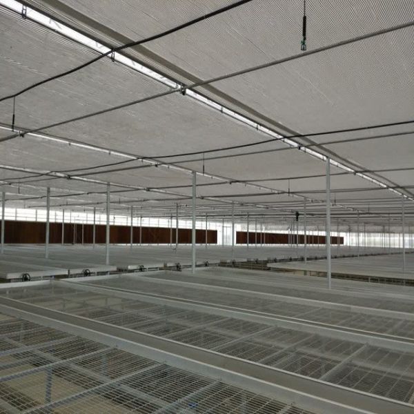 Agricultural Equipment Greenhouse Bench Systems for Seedling Nursery