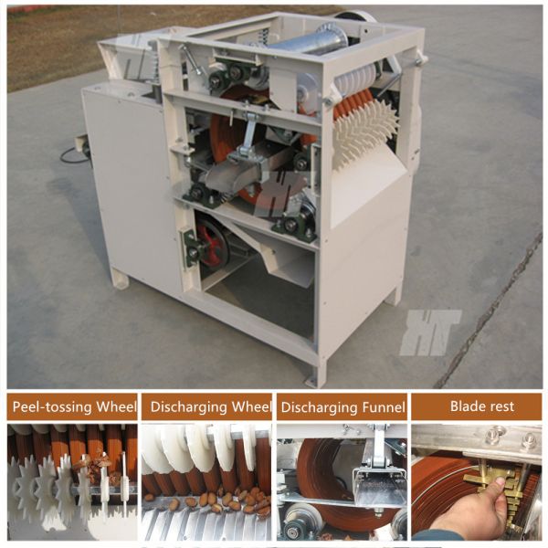 Broad Bean Peanut Peeling Machine 220V Hazelnut Peeling Machine