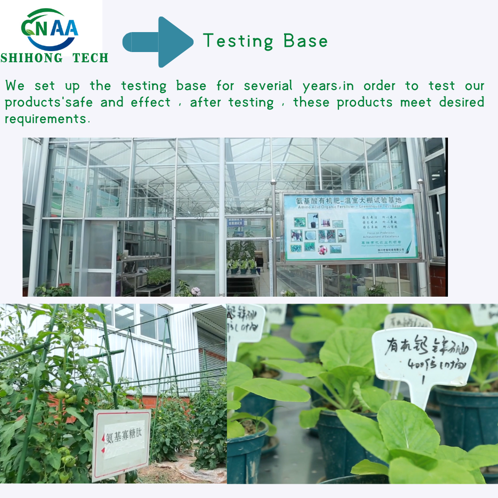 Plant Source Amino Acid Liquid Fertilizer 30% Free Chloride For Agriculture