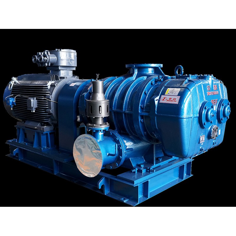 High Efficiency Roots Blower Vacuum Pump For Continuous Duty Operation