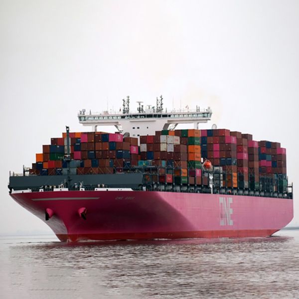 NVOCC From Ningbo International Logistics Company Freight Forwarder International