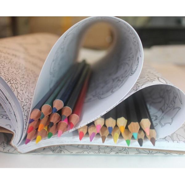 Cheapest and Good Quality Colorful Lead School & Office Wooden Pencil