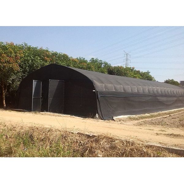 Temperature Control Outdoor Mushroom Greenhouse Pest Prevention With Film Shade Net