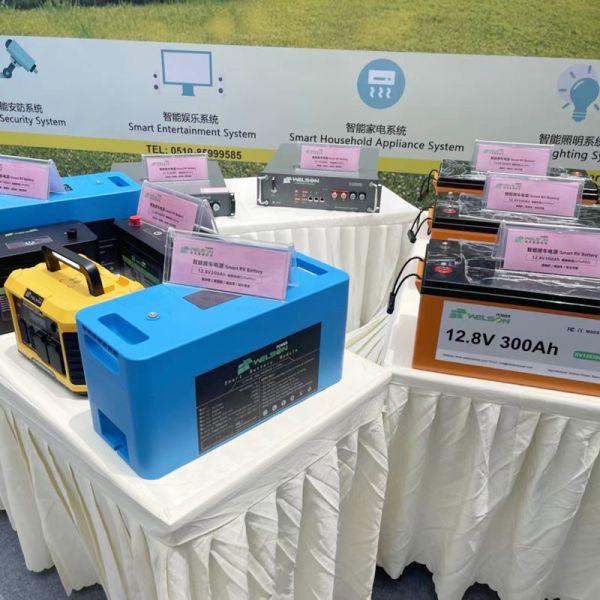 Deep Cycle Lifepo4 Battery 12V 100ah 120ah 150 250ah BMS For Car RV E Bike Electric