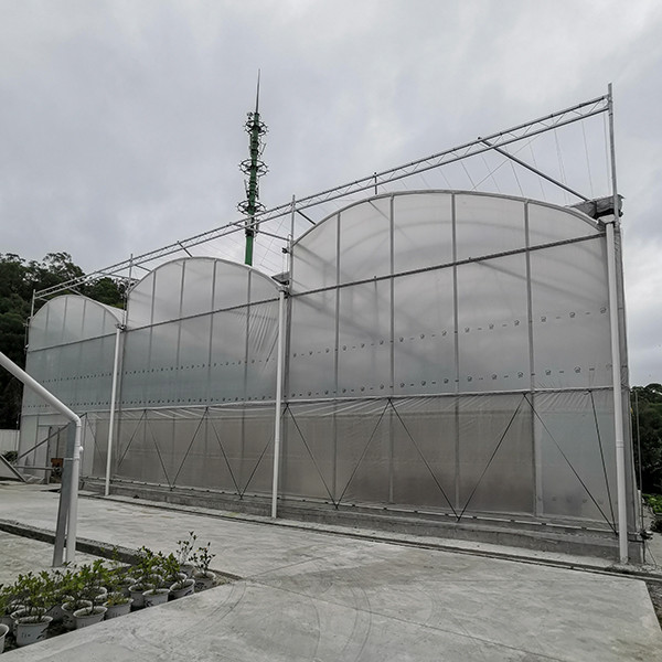 Ventilation Windproof Greenhouse With Pvc Cover Commercial Polycarbonate Greenhouse Kits