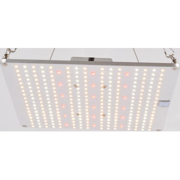 2.7umol UV LED Grow Lights 120W  Professional full spectrum lm301B led quantum board  for indoor greenhouse lighting