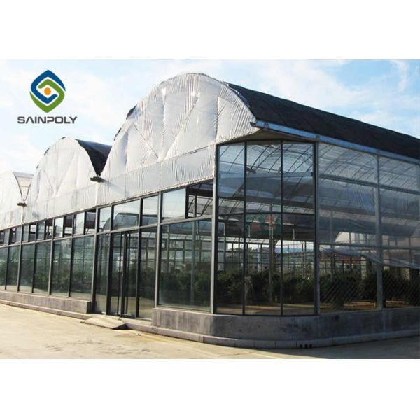 10*4M Single Span Greenhouse