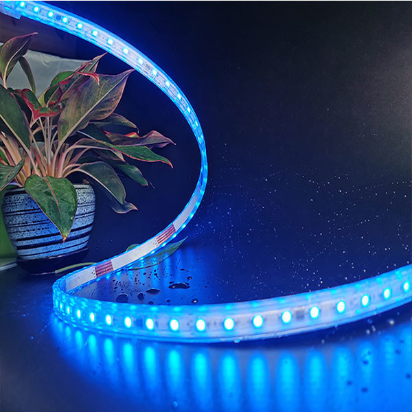 PVC Underwater IP68 Addressable LED Rope light DC24V Uvioresistant LED Strips