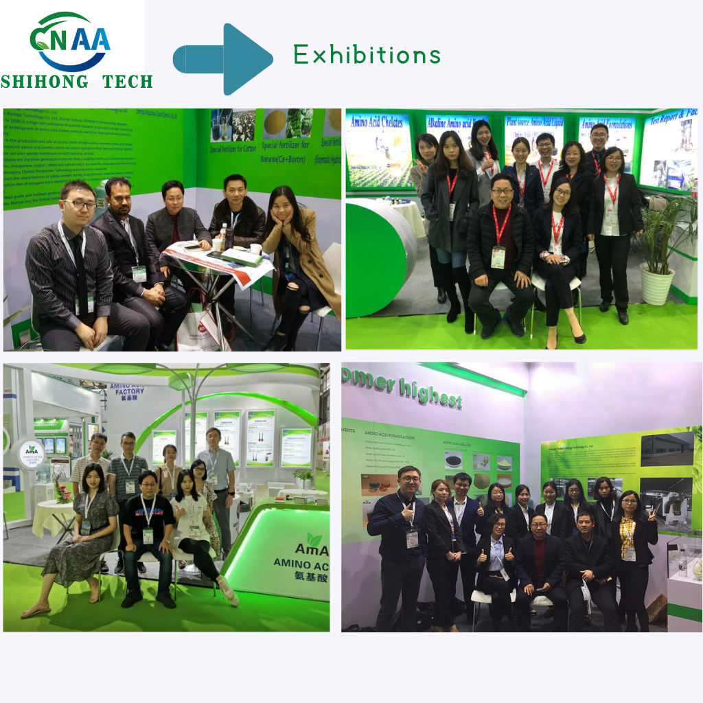 Plant Source Amino Acid Liquid Fertilizer 30% Free Chloride For Agriculture