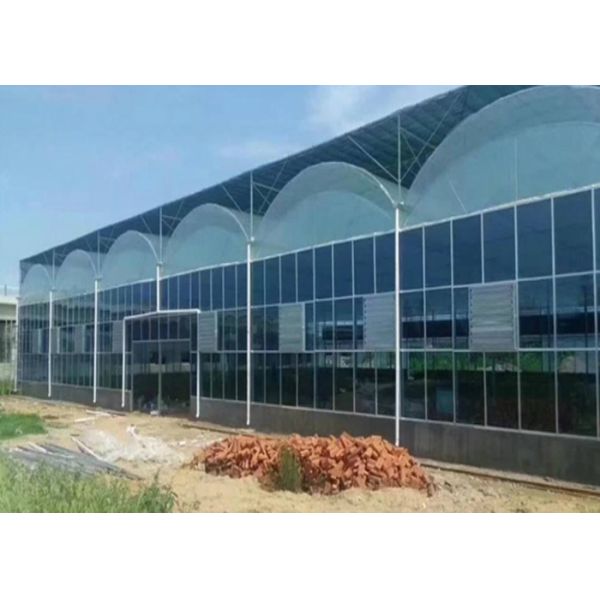 Plastic Film Vegetables Tomatoes Single Span Greenhouse