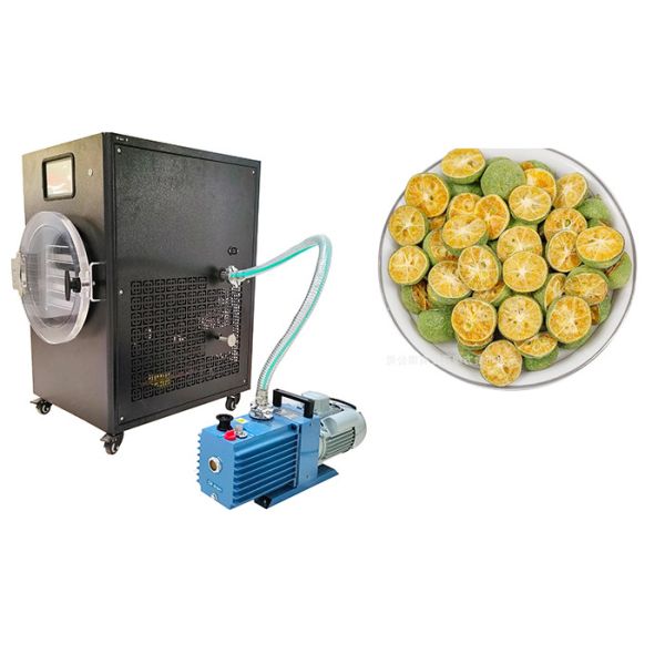 4 Layers Household Vacuum Mini Stay Fresh Freeze Dryers