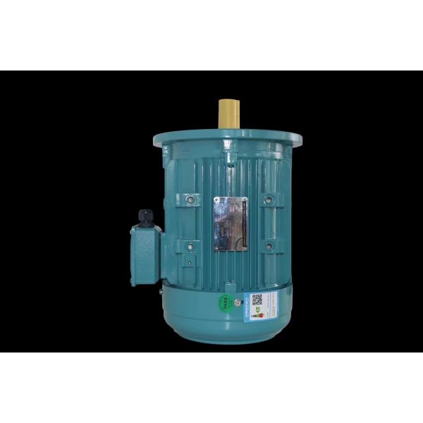 Reliable Single Phase Asynchronous Motor with IP55 Protection and High Humidity Resistance