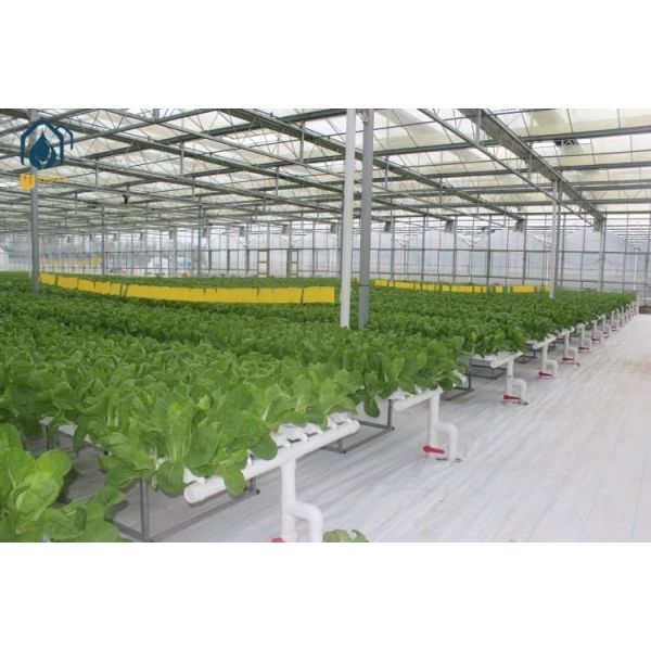 NFT Hydroponic Channel Indoor Hydroponic Grow System For Leafy Vegetables