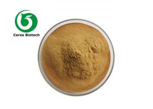  5/1 10/1 Natural Eyebright Extract Powder Health Protect Manufactures