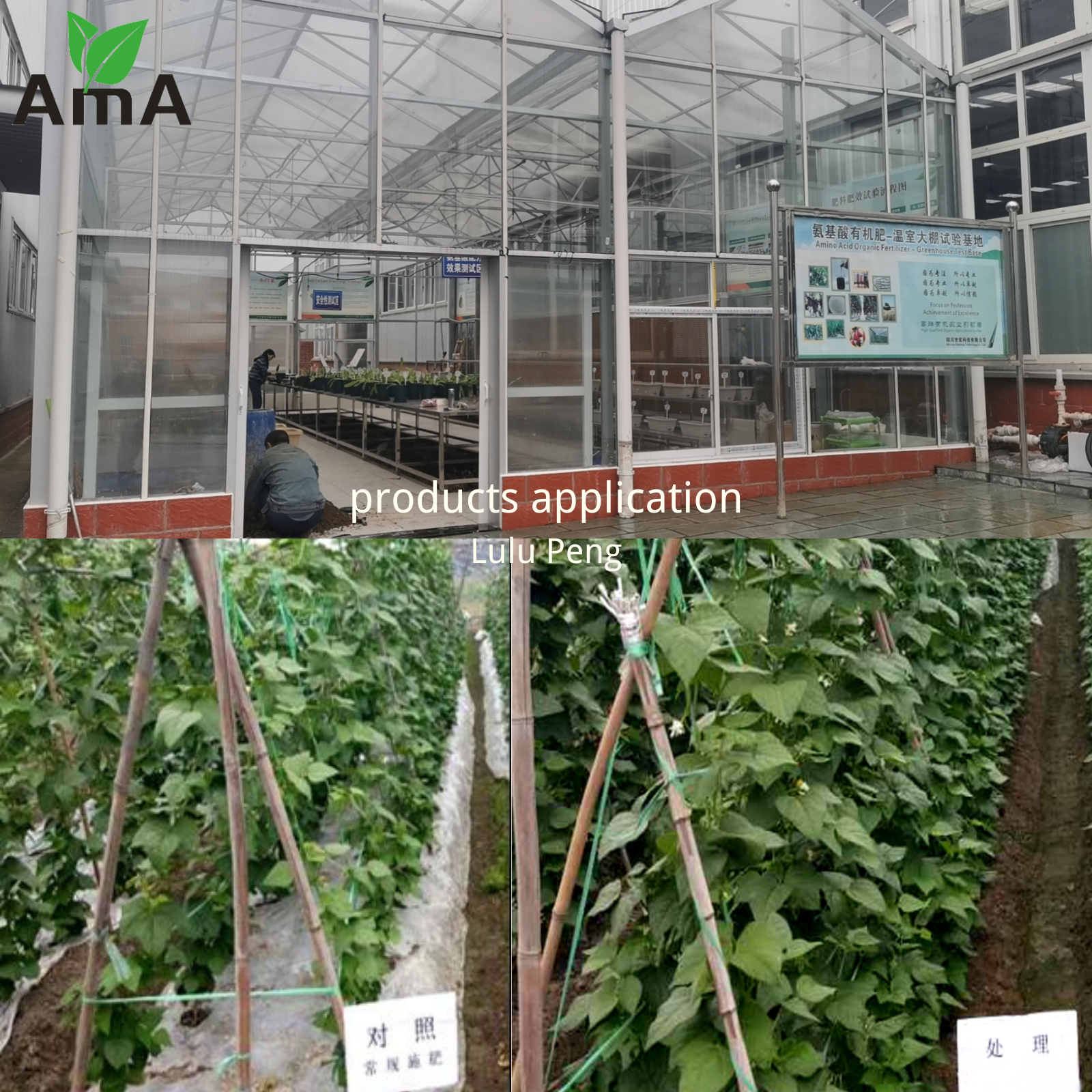 Agricultural Organic Nitrogen Liquid Fertilizer Amino Acid Chelate Zinc Liquid