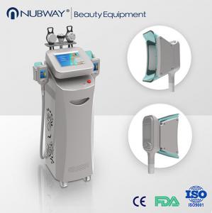  Cryolipolysis Slimming Machine fast slimming weight loss Manufactures