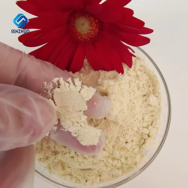 Food Additives Riboflavin 5'-Monophosphate Sodium Salt CAS 130-40-5 Riboflavin Supplements