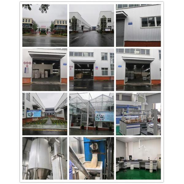 Organic Amino Acid Liquid Fertilizer Vegetable source Amino Acid Clear Yellow Liquid 30%