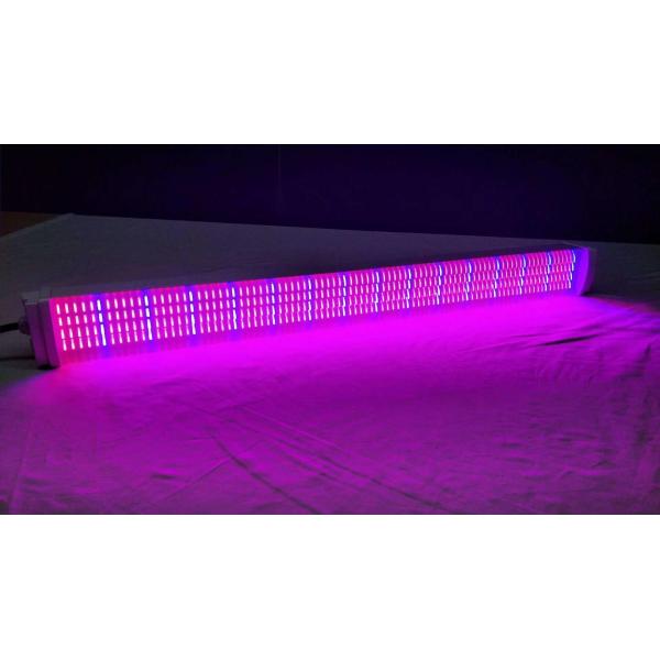 FT950 50W LED Plant Grow Light Aluminum Housing Fade Resistance IP65 Protective