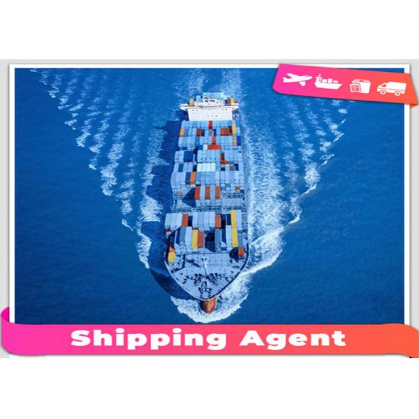 Safe International Sea Freight Forwarding From Shenzhen To Saudi Arabia