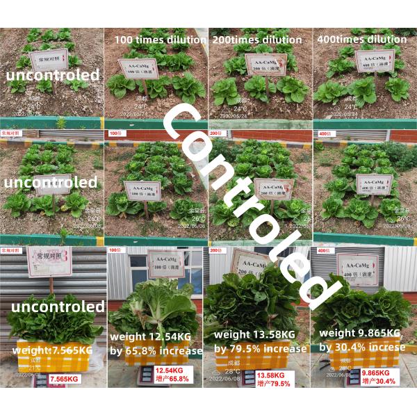 Transparent Liquid Amino Acid Fertilizer With Calcium Magnesium Chelating