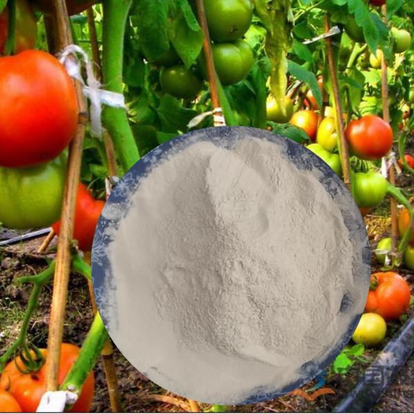 Non GMO Soybean Extract Hydrolyzed Amino Acid 80% Organic Fertilizer