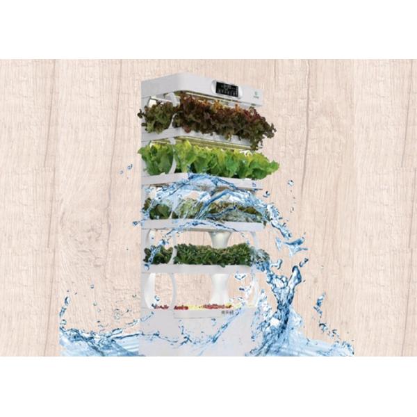 Water Culture Nutrient Smart Hydroponics System Low Power Consumption
