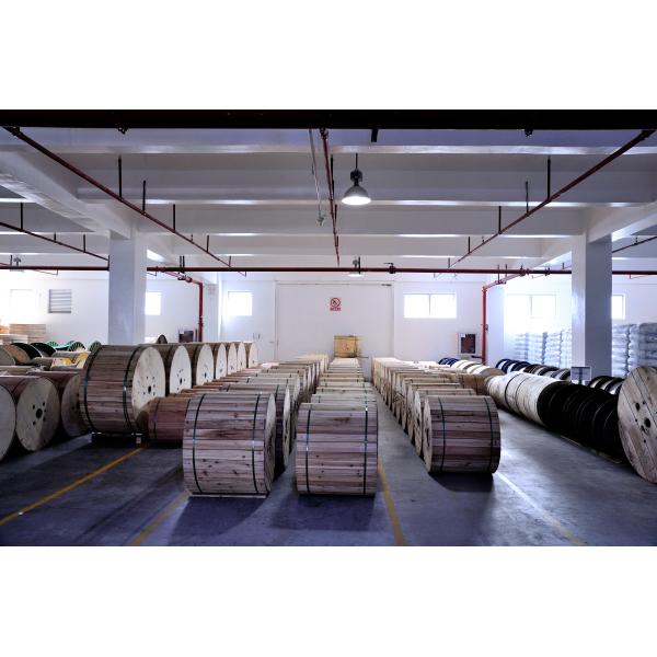 Shenzhen Zhaoxian Special Optical Fiber Cable Technology Co., Ltd.