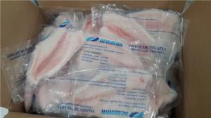  Nutritious Fresh Frozen Seafood Tilapia Fillets Products Rich Vitamin And Mineral Manufactures