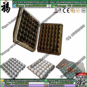  Egg Tray Pulp Mold Manufactures