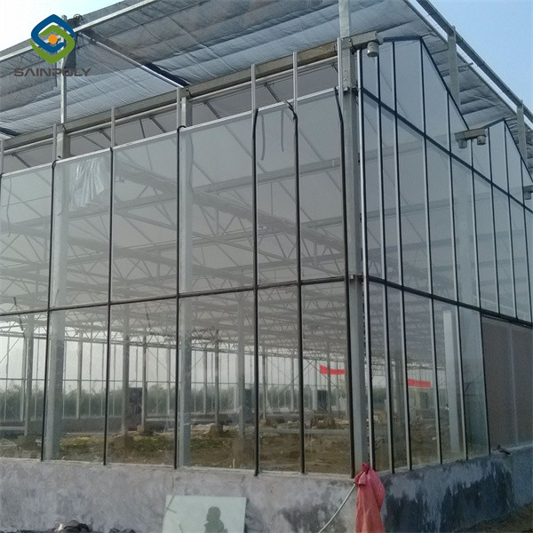 Multispan Agricultural Venlo Glass Greenhouse Hot Galvanized Steel Customized