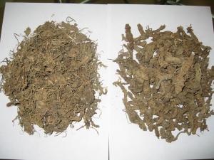 China Valerian roots ;Valeriana officinalis L. Valeriana Linn. on sale