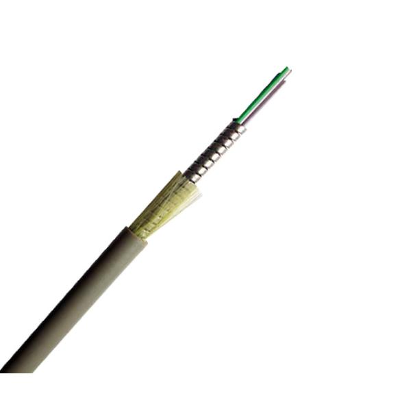 SUS Indoor 2-24core OFNP Spiral Armored Optical Cable G657A1