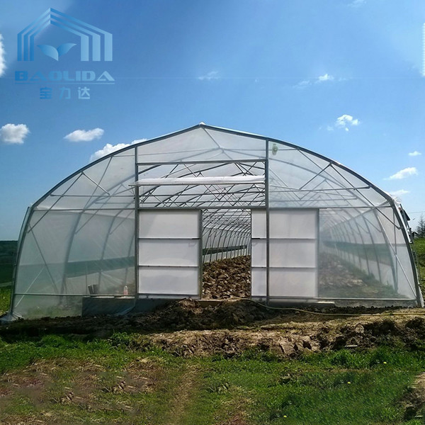 Agricultural Plastic Tunnel Greenhouse Hoop Greenhouse For Growing Vegetable