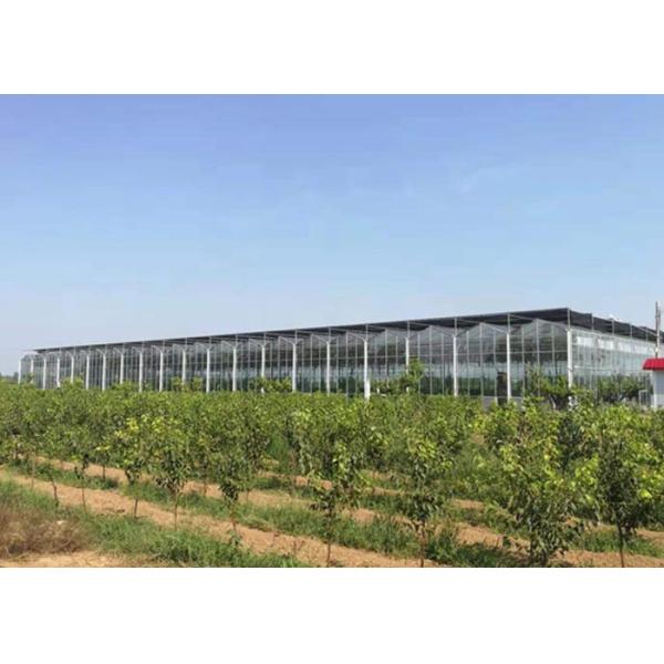 Large Solar PV System Agricultural Glass Greenhouse For Planting Vegetables