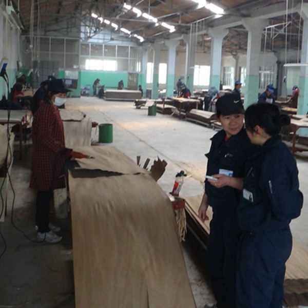 Guangdong Great Forest New Decoration Materials Co.,LTD.