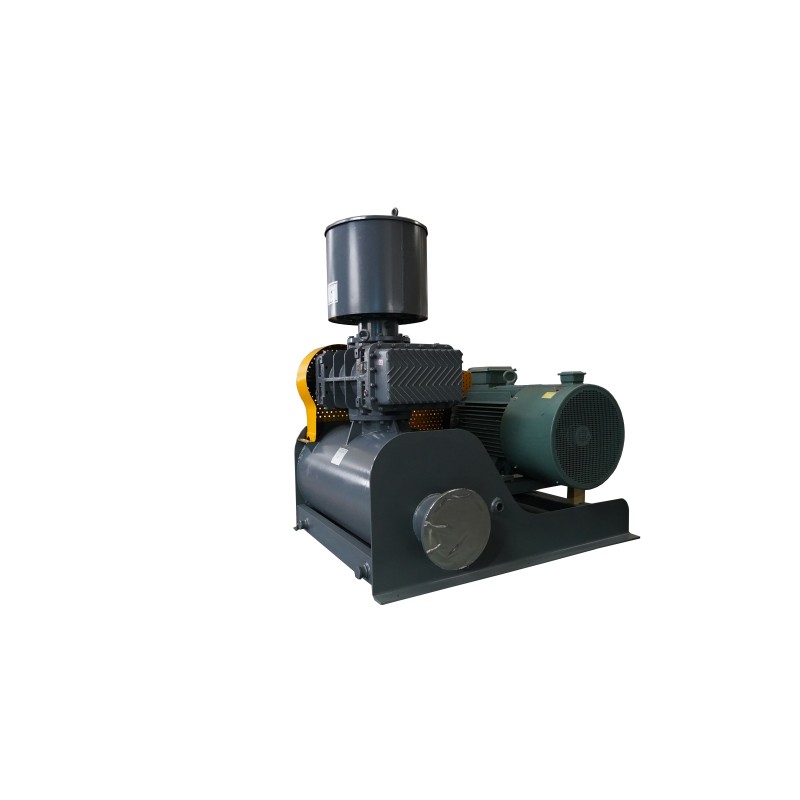 High Performance Roots Vacuum Pumps For Industrial Automation 0.52-183.9m³/min Flow range