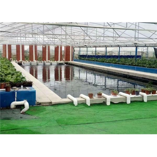 Plastic Film Hydroponic Greenhouse Strong Ventilation Ability Convenient To Use