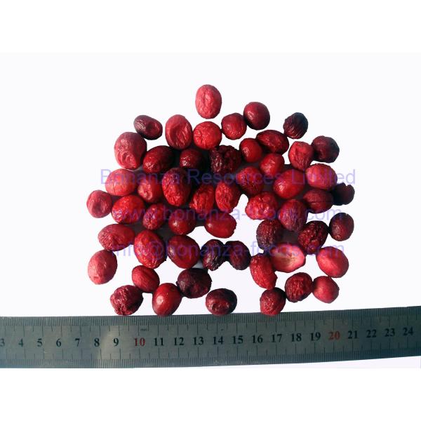 Healthy snack food dried fruit freeze dried cranberry with free sample
