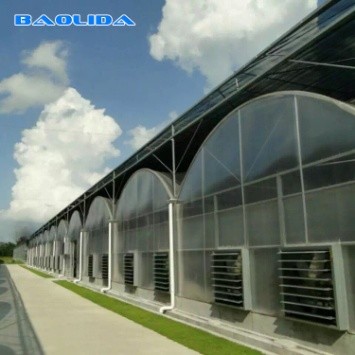Agricultural Flowers Shading Multi Span Hot Dipped Galvanized Polycarbonate Greenhouse