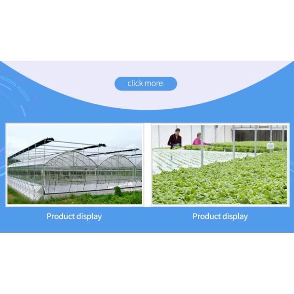 8 Meters Single Span Greenhouse With Irrigation Heater Systems For Winter