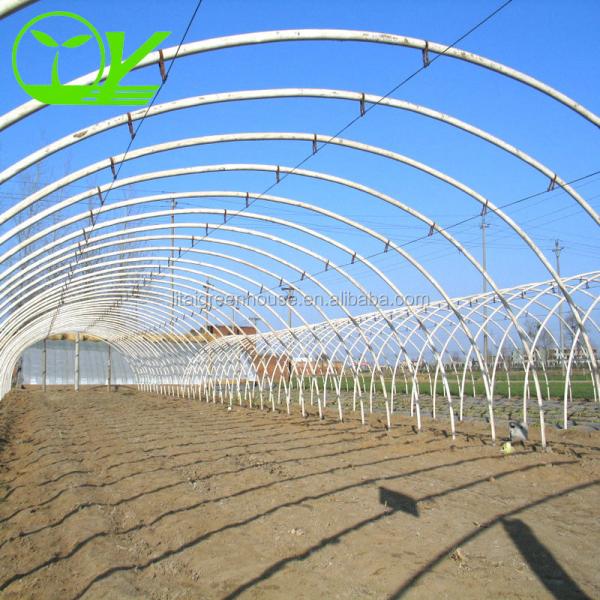 Large Height 3-10m Polytunnel Greenhouse The Ideal Growing Environment for Your Crops