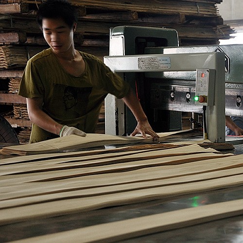 Guangdong Great Forest New Decoration Materials Co.,LTD.